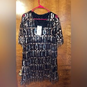 Zara Sequin Dress With Fringe